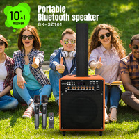 Enceinte de karaoké en bois à ligne acoustique avec deux micros sans fil, 10 pouces, 80W, écran LED, FM, USB/TF, TWS, pour fêtes