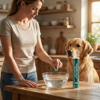 Complément dentaire effervescent de qualité supérieure pour chiens et chats, fourni par l'usine, pour l'élimination de la plaque dentaire et du tartre