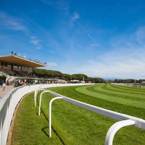 Panel pagar kuda PVC murah pagar rel pick plastik putih 4x8 gerbang pos vinil untuk penggunaan taman pertanian - Product Image 1