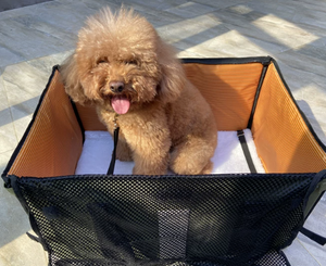 Tas Hewan Peliharaan Anjing & Kucing Lipat Portabel Semua Musim Kapasitas Besar Dapat Dicuci Aksesoris Perjalanan Mobil - Product Image 4