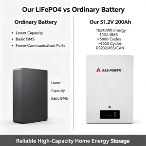 51.2V 200Ah LiFePO4 <b>Battery</b> 10240Wh Energy Storage <b>Battery</b> 100A BMS 16S1P IP20 for Home Solar System - Product Image 2