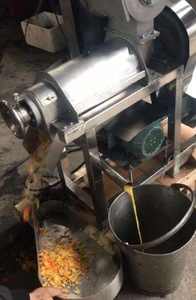 Automatic Chinese 304 Stainless Steel Fruit and Vegetable <b>Juicing</b> <b>Machine</b> with Core Engine Component 220/380V - Product Image 3