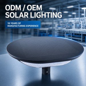 Lampu Taman <span class=keywords><strong>LED</strong></span> Tenaga Surya 20W-50W, Lampu Jalan Aluminium Die-cast Tekanan Tinggi IP65 untuk Pencahayaan Ambient Taman - Product Image 3