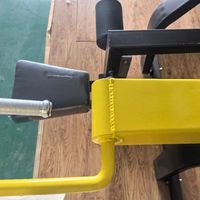 Machine à dips assis pour triceps, en acier Q235, certifiée CE, pour la musculation et le fitness commercial