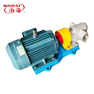 <b>Pump</b> KCB Gear Rust-Free Stainless Steel Steady Displacement Dry-Running Safe for Biofuel Industry - Product Image 4