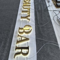 Letrero LED Acrílico Personalizado con Iluminación Frontal de Precisión, Resistente al Agua IP67 para Interiores, Placa de Identificación de Alta Gama