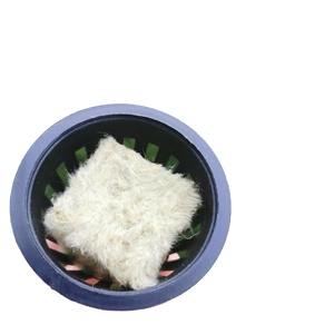 Cubes de laine de roche pour culture hydroponique - Product Image 4
