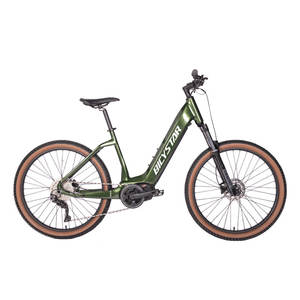Hot New <span class=keywords><strong>2023</strong></span> vert ville électrique e vélo vélo électrique vélo de ville électrique 48v 250w pour hommes et femmes - Product Image 3