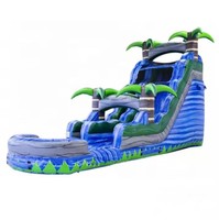 Toboggan aquatique commercial personnalisé en usine toboggan gonflable bon marché de taille de fête avec piscine pour adulte