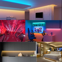 Bande LED flexible 5-en-1 RGBCCT RGBWW 5050, 60/96 LED/m, RGB+W+WW RGBW RGBWW 2700K - 6500K, DC12V/24V
