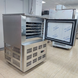 Mini Congelador de Placas de Acero Inoxidable -45C, Pequeño Congelador Rápido Automático para Uso <span class=keywords><strong>Doméstico</strong></span>, Panadería y Laboratorio - Product Image 2