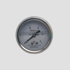 0-25MPa 60毫米全不锈钢充油蒸汽锅炉压力表 - Product Image 1
