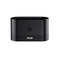 Diffuseur d'Huiles Essentielles à Flamme et Vapeur Améliorée, Brume d'Air Sonique pour Aromathérapie, avec 2 Niveaux de Luminosité, Idéal pour Maison, Bureau et Pièce