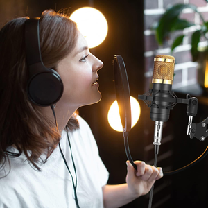 Live Broadcast Condenser <b>Microphone</b> Wired Sound Card Anchor <b>Computer</b> Recording Bracket XLR <b>for</b> Mobile Phone - Product Image 3