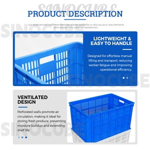 Contenitori Impilabili in Plastica PP Sinocube, Casse Ecologiche Resistenti per Conservazione di Frutta e Verdura, per Supermercati e Magazzini - Product Image 3