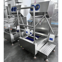 Lave-chaussures automatique à induction pour l'hygiène des chaussures d'entrée des usines alimentaires, pour atelier de transformation de viande