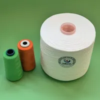 Fil à coudre et à broder en polyester 100% haute qualité, résistant aux hautes températures, pour point de croix et crochet, 30/2, Chine Mayoreo