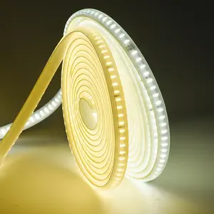 CE RoHS bi color led strip WW+CW smd2835 60leds dual color led lighting double color led light tape