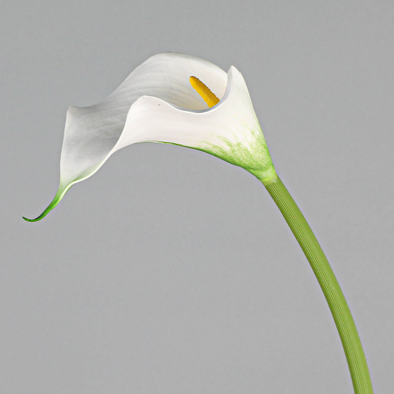 3 White-small