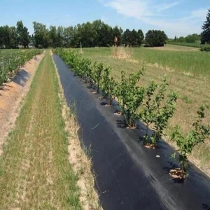 Toile <span class=keywords><strong>anti</strong></span>-herbe en PP <span class=keywords><strong>anti</strong></span>-pénétration des racines, couverture de <span class=keywords><strong>sol</strong></span> robuste pour la plantation en vignoble - Product Image 2