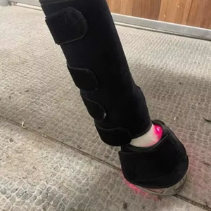 Équipement portatif de botte de sabot de jarret d'appareil de thérapie de lumière infrarouge proche de photothérapie pour le soulagement de douleur de cheval - Product Image 1