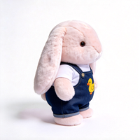 Adorable Peluche Lapin en Tissu Brodé avec Motif Canard, Douce et Moelleuse, Mignonne Poupée Lapin en Peluche avec Tenue de Canard Amovible