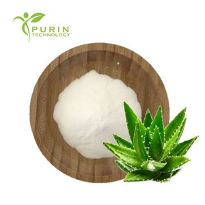 Aloe <span class=keywords><strong>Vera</strong></span> Polvo liofilizado <span class=keywords><strong>100</strong></span>:1 Grado cosmético Aloe <span class=keywords><strong>Vera</strong></span> de Curacao Gel de Aloe <span class=keywords><strong>Vera</strong></span> Liofilizado - Product Image 3