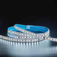 Tira de luz LED digital inteligente SMD2835, luz de marcha direccionable cortable de un solo color, Programa de animación, efecto de tira de luz LED