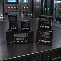 Contrôleur de température analogique intelligent XMT de type 48*48MM avec écran LCD et interface USB, personnalisable OEM pour incubateur