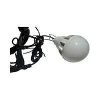 Bombilla de Bajo Voltaje DC12V 5V 6V al por Mayor, Bombilla de Bajo Consumo de 5W con Cable de 5m y Interruptor, Cabezal DC