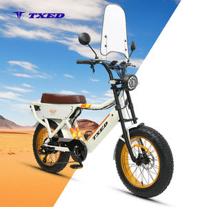 Bicicleta Eléctrica Personalizada con Cuadro para Neumáticos Gruesos de 20'', Motor de 1000W, 7 Velocidades, Batería Doble de 15.6AH, Modelo E Times Tour MDP con Equipo Mecánico - Product Image 1