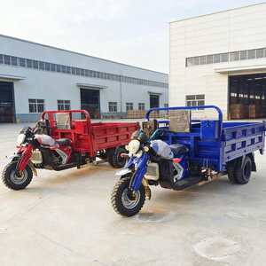 Tricycle motorisé à carrosserie ouverte, essence, pour marchandises et passagers, avec moteur >250cc, <span class=keywords><strong>3</strong></span> places, faible coût d'exploitation, <span class=keywords><strong>prix</strong></span> usine - Product Image 4