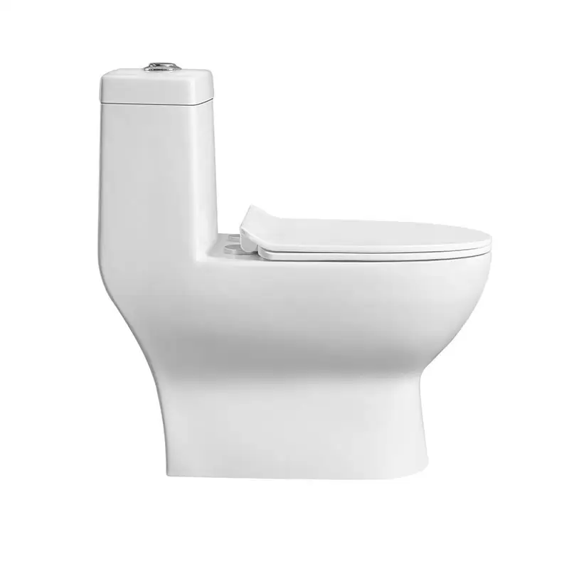 Promosyon satış ucuz banyo PP klozet kapağı porselen tuvaletler su tasarrufu
