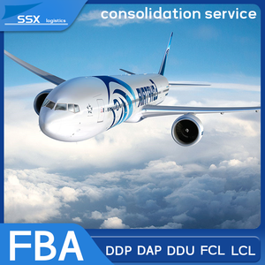 Agente de Envío de Puerta a Puerta, <span class=keywords><strong>Despacho</strong></span> de <span class=keywords><strong>Aduanas</strong></span> de Doble Cara, Envío Directo de China a Arabia Saudita, Logística Express de DHL, <span class=keywords><strong>UPS</strong></span>, FedEx, 8-11 - Product Image 6