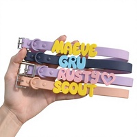Collier et laisse pour chien personnalisables en polyester avec lettres, accessoires réglables en silicone, lettres lumineuses multi-tailles, doux pour animaux de compagnie - NOUVEAUTÉ PROMO