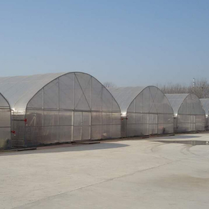 Serre <span class=keywords><strong>agricole</strong></span> à simple portée en film plastique transparent de grande taille et économique, avec structure en tube d'acier circulaire et abri de sol - Product Image 3