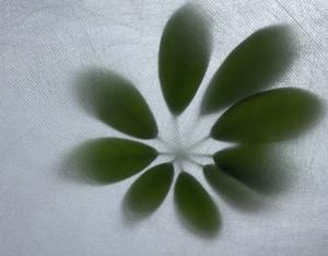 PP PE Membrana impermeable Banda Rollo Ducha Pisos Underlayment Rolls Debajo del piso de cerámica y baño - Product Image 5