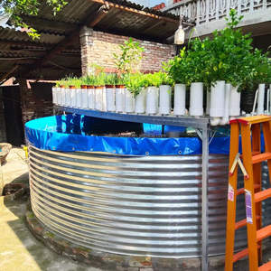 Su ürünleri yetiştiriciliği karides balık yetiştiriciliği ile özelleştirilebilir ticari Aquaponics sistemleri Aquaponics büyüyen sistemleri - Product Image 6