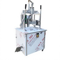 Éplucheur électrique de noix de coco, machine à décortiquer les noix de coco vertes, décortiqueur de noix de coco tendres, outil portable et économique, facile à utiliser