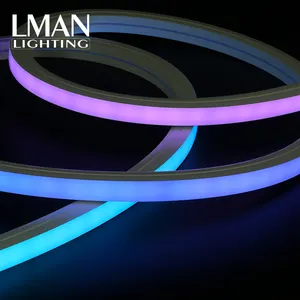 مصباح ليد نيون سيليكون متعدد الألوان شهير قابل للطي مقاوم للماء Ip65 16*16 مم Smd5050 Dc24v