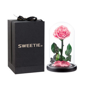 Bunga pengawet roas abadi merah muda selamanya 12*20cm bunga yang diawetkan tak terbatas dalam kubah kaca untuk hadiah Hari Valentine - Product Image 1