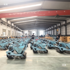 Équipement <span class=keywords><strong>de</strong></span> machine <span class=keywords><strong>agricole</strong></span> <span class=keywords><strong>Fournisseur</strong></span> d'usine Semoir à ail pour moteur à essence à 4 5 6 rangs - Product Image 6