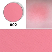 Palette de maquillage neutre sans logo, double teinte, blush et contour, deux-en-un, mat et nacré