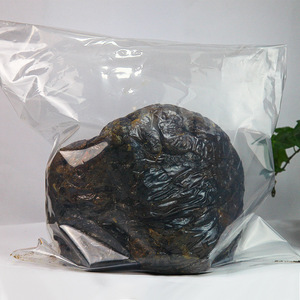 <span class=keywords><strong>Propolis</strong></span> d'abeille 20%-30% 500g en vrac, vente en gros d'usine, gaze d'abeille artisanale pour la fabrication de vin et de produits capillaires - Product Image 4