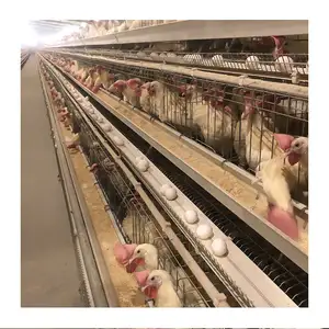 Laying Hens 3 Tiers Cheap Battery Cage for Chicken Farm
