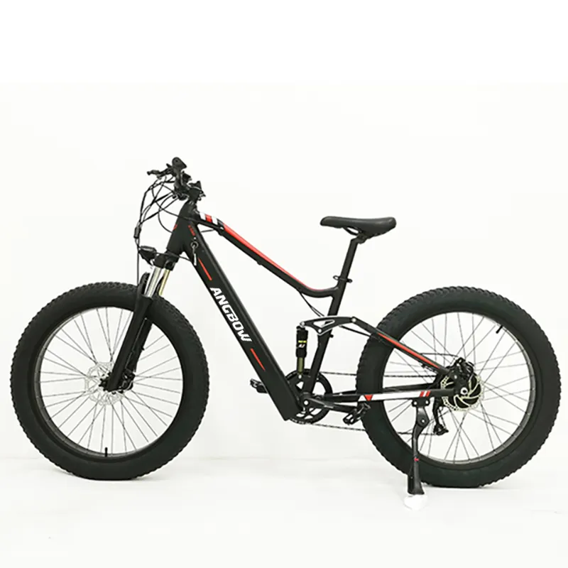 Bicicleta elétrica de neve Bicicleta elétrica Pneu gordo 750 W 48 V Bicicleta elétrica fornecedor de mudança de 27 passos