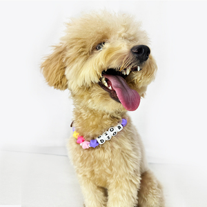 Surtido hecho a mano suave Pvc silicona Diy cuentas <span class=keywords><strong>Collar</strong></span> de perro con cuentas moda mascota perla anillos encanto <span class=keywords><strong>collar</strong></span> accesorios al por mayor - Product Image 6