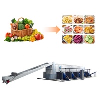 Ondersteuning voor maatwerk drogers, graan- en chilidroger, machine met gaasband, ui-/dadelpalm-/kokosnootdroger, voedseldroger