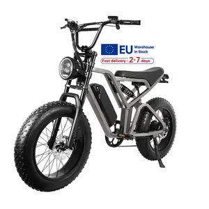 EU Warehouse In Stock Electric Bike 48v 15ah 750w 20inch Fat Tire E-bike 250w Urban Electric Bicycle 25km/h Adult Fatbike