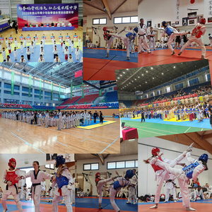 Ensemble de protection électronique professionnel de Taekwondo, haute sensibilité, protection du corps et du torse, système PSS pour l'entraînement et la compétition - Product Image 2